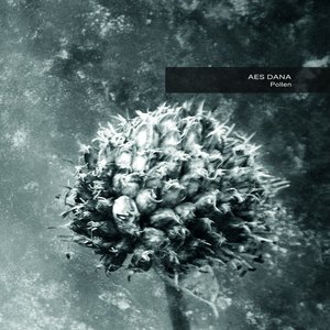 “Pollen (2017 Remastered)”的封面