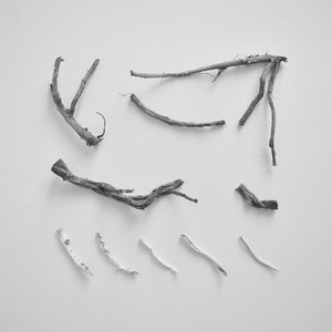 Image for 'These Charms May Be Sung Over A Wound'