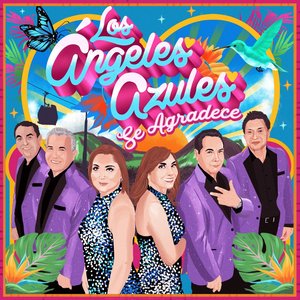 Bild für 'Se Agradece'