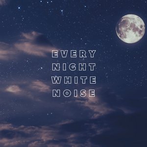 Image for 'Every Night White Noise'