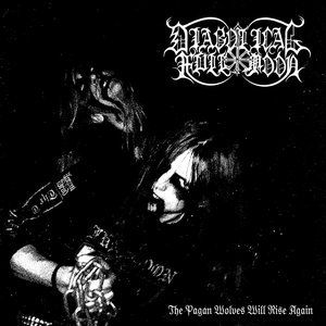 Image for 'The Pagan Wolves Will Rise Again'