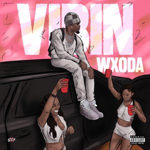 Image for 'Vibin'