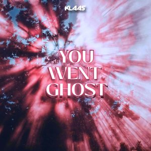 Image for 'You Went Ghost'
