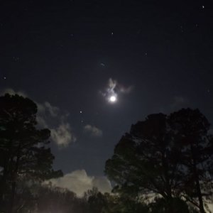 Image for 'MOONLIGHT'