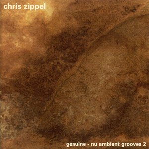 Immagine per 'Nu Ambient Grooves 2'