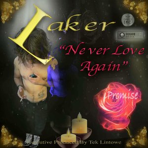 Image for 'Never Love Again'