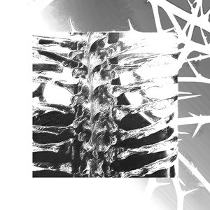 Image for 'Assault - Single'