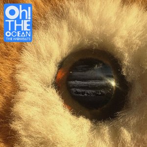 Image for 'Oh! The Ocean'