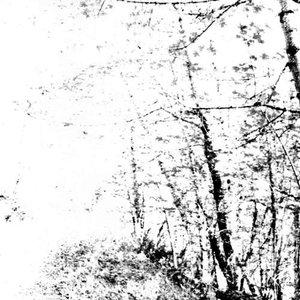 Immagine per 'The White'