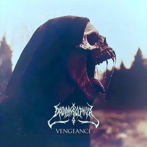 Image for 'Vengeance'