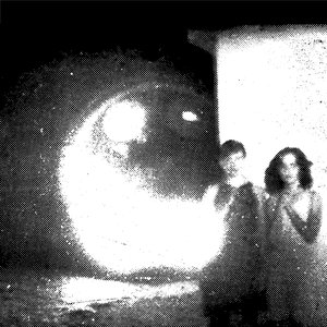 Image for 'Tamer Animals'