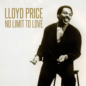 Image for 'No Limit to Love'