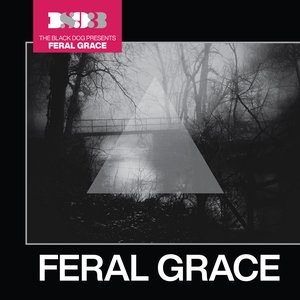 Image for 'Feral Grace'