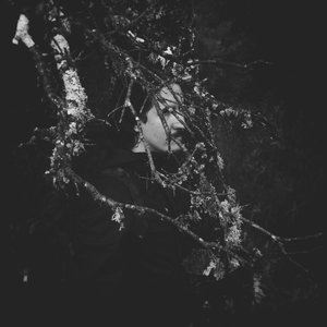Image for 'Trees, Clouds & Silence'