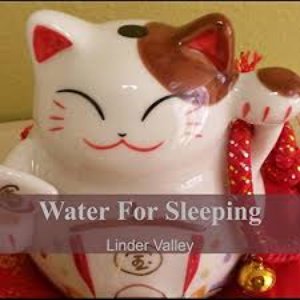 Image for 'Linder Valley'
