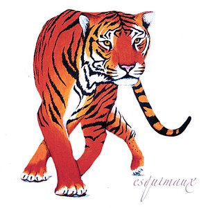 Изображение для 'Tiger'