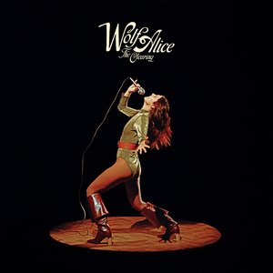 Image for 'The Clearing (B Sides)'