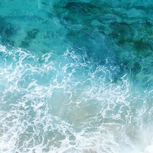 Imagen de 'Sea Sounds to Sooth the Mind'