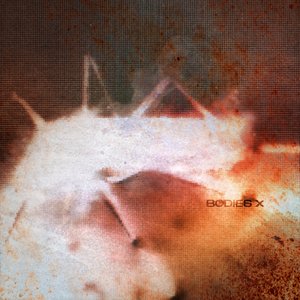 Image for 'BODIES X'