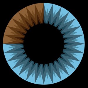 '3Blue1Brown' için resim