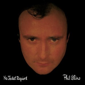 Image for 'No Jacket Required'