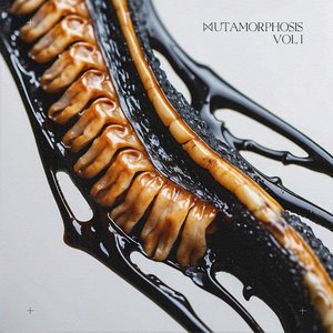 Изображение для 'MUTAMORPHOSIS, Vol.1'