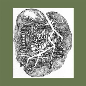 Image for 'No Answer: Lower Floors'