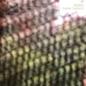 'Summer Twenty-six' için resim