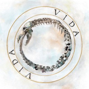 Image for 'Vida'