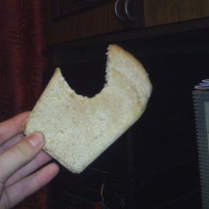 Image for 'ChIp_11'