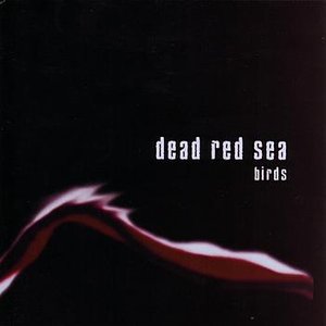 Image for 'Birds'