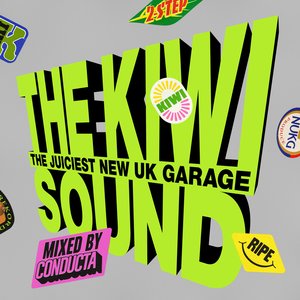Image for 'The Kiwi Sound (DJ Mix)'