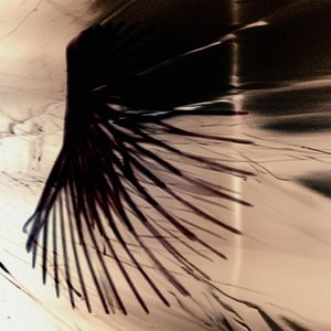 Immagine per 'Afterimage'