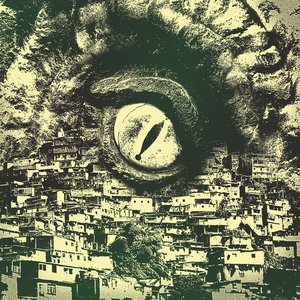 Image for 'Root Echoes'