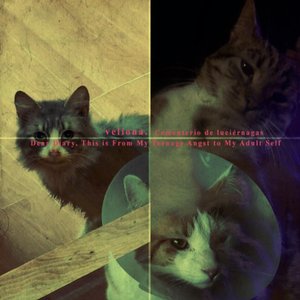 Zdjęcia dla 'Queridos gatitos: 3-way split'