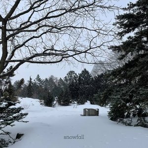 Image for 'Snowfall'