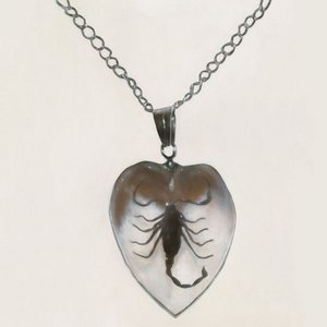 Bild für 'LOVE DESTROY ME'