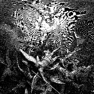 Image for 'rights of spring'