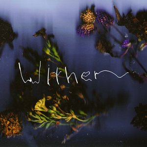 Image for 'Wither'