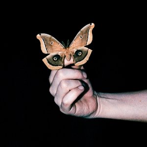 Image for 'All Systems Are Lying'