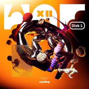 Image for 'We Are Friends, Vol. 12 (Disk 1)'