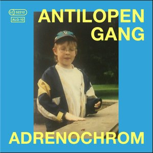 Image for 'Adrenochrom'