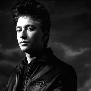 “Alan Wilder”的封面