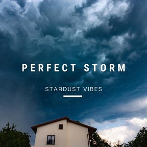 Image for 'Perfect Storm'