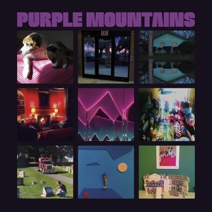 Image for 'Purple Mountains'