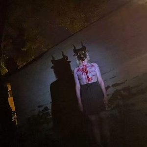 Image for 'i saw the devil in portland oregon'