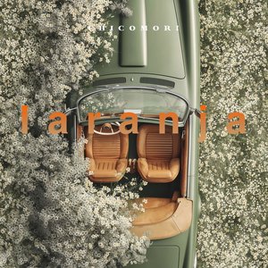Image for 'laranja'