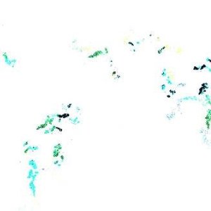 Image for 'Se-U-Ra'