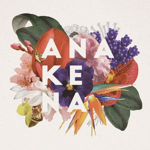 Immagine per 'Anakena'