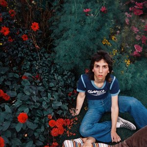 Image for 'The Lemon Twigs'